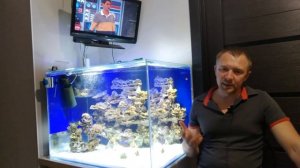 Грот для морского аквариума за копейки из песчаника