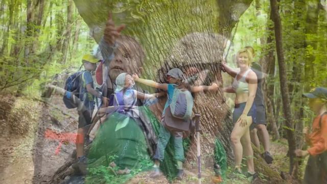 Туристические песни. Песни у костра. "Уа-уа" смотреть онлайн