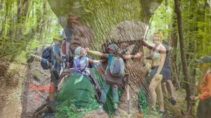 Туристические песни. Песни у костра. «Уа-уа»