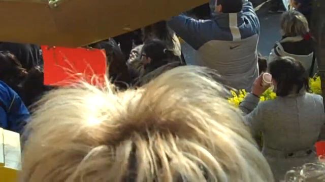 Roqueburn Mimosa Festival February 14, 2010 смотреть онлайн