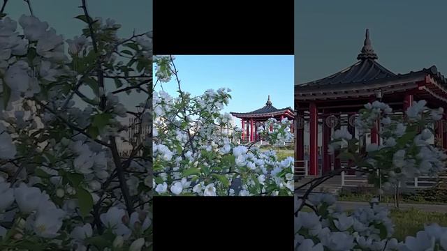 Джили Монжаро на номерах #shorts #short #geely #monjaro #импорт #регистрация #гибдд #тюмень #хмао