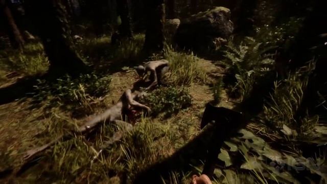 ?FOREST ХУДШАЯ ИГРА ГОДА? ПОЧЕМУ SONS THE FOREST ОБЛАЖАЛСЯ по ПОЛНОЙ?ОБЪЕКТИВНЫЙ ОБЗОР смотреть онлайн