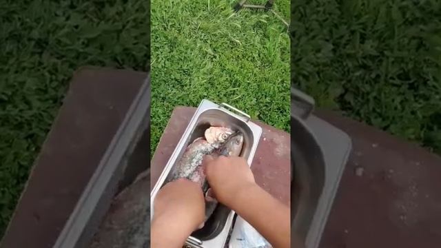 Нежнейший балык из Астраханской селёдки! смотреть онлайн