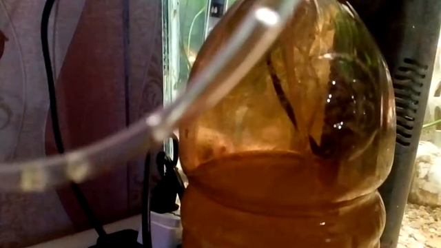 СО2 в аквариум своими руками смотреть онлайн
