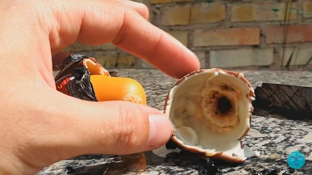 ЭКСПЕРИМЕНТ ФИТИЛЬ - БИКФОРДОВ ШНУР (часть 2) смотреть онлайн