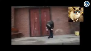 Колян танцует лучше всех