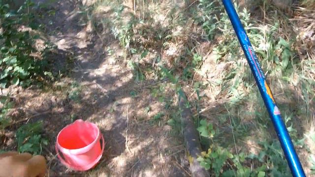 Рыбалка на КРУПНУЮ краснопёрку смотреть онлайн