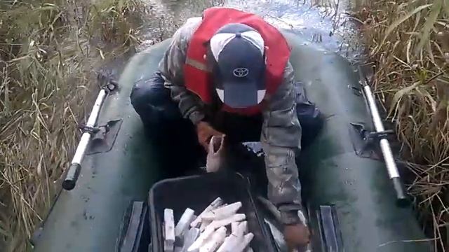 Рыбалка в Новосибирске р.Бердь !!! Крупные судаки !!! смотреть онлайн