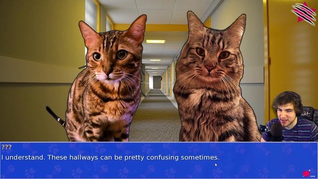 Cat President ~ A More Purrfect Union #1 - TRUMP THE CAT смотреть онлайн