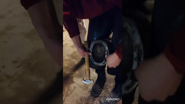 Ковка Лошади смотреть онлайн