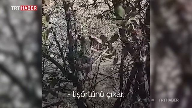 Teröristin yakalanma anı kamerada смотреть онлайн