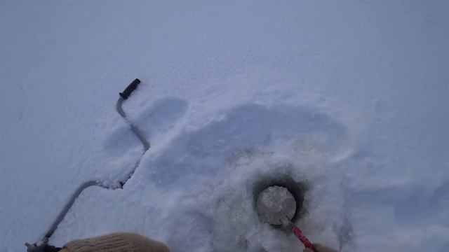 Приехали на те же места где поймали больших щук/ Рыбалка в -20/ Четвертая рыбалка. смотреть онлайн
