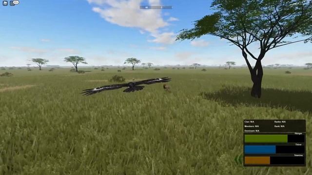 Wild Savannah Testing A Public ! Remastered Map & Updates | ROBLOX смотреть онлайн