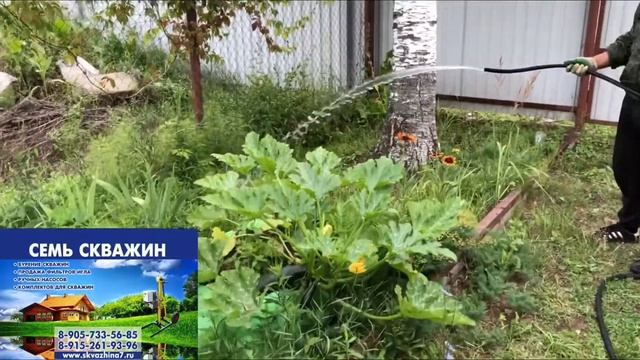Абиссинская скважина в колодце. Город Балашиха, Московская область. смотреть онлайн