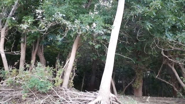 Рыбалка на Ахтубе..Селитренное. смотреть онлайн