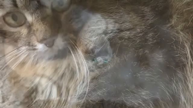 Прикольные фото. Часть 3 смотреть онлайн