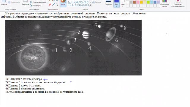 Видеоразбор задание № 24 "Строение СС" смотреть онлайн