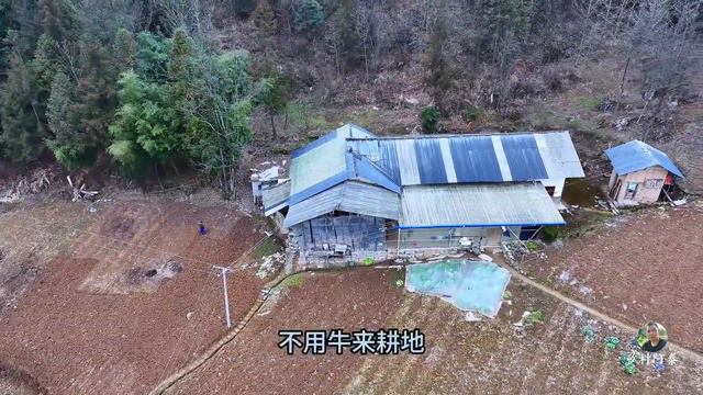 探访湖北大山独户人家，祖祖辈辈居住在山巅之上，与世无争世外桃源！【乡村阿泰】 смотреть онлайн