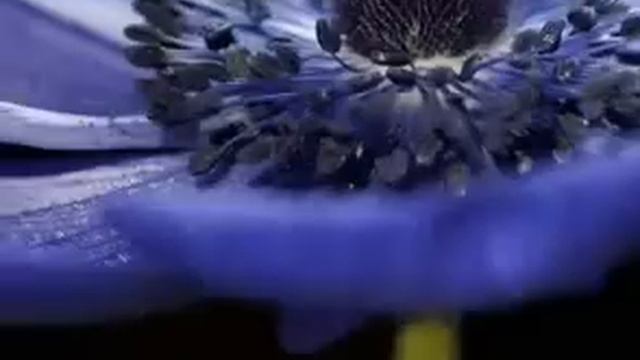 HD Wallpaper 2016 | Download HD Wallpapers for your iPhone or Android Smartphone смотреть онлайн