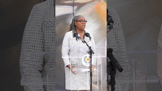 Harris County Public Health's Barbie Robinson discusses new Reproductive Health Fund смотреть онлайн