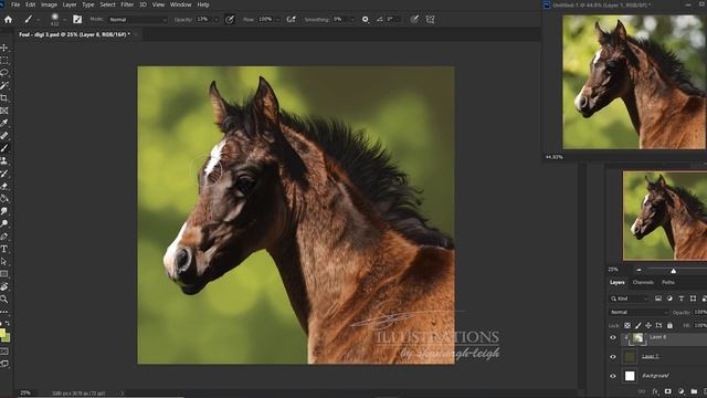 Digitally painting a bokeh background in Photoshop in real time смотреть онлайн