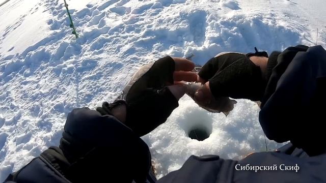 РЫБАЛКА!!! ОКУНИ ПИВНИЧКИ ОНИ ЛОВЯТСЯ ТОЛЬКО ЗДЕСЯ и на ЭТОМ МЕСТЕ смотреть онлайн