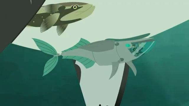 Про Белую Акулу. Братья Кратт: Зов Природы. Новая серия. Канал Детишки смотреть онлайн