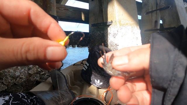 SHEEPSHEAD Fishing on KAYAK Limit OUT EP.64 смотреть онлайн