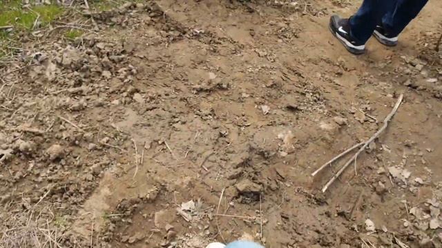 Чеченские Шамайки,известная как царская рыба,в 2006 году шемая была внесена в Красную книгу смотреть онлайн