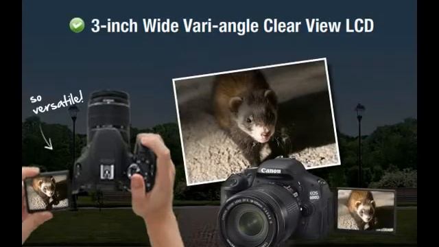 CANON 600D - online media flash banner смотреть онлайн