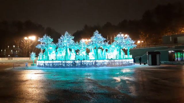 В парке Сокольники. 31 декабря 2020 г. смотреть онлайн