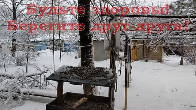 Крещение Господне. 19 января 2022. Миусинск. Красный Луч. смотреть онлайн
