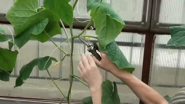 Ремонтные Консультации