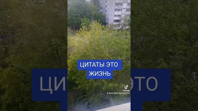 ЦИТАТЫ ЭТО ЖИЗНЬ! смотреть онлайн