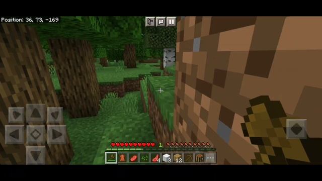FIRST DAY IN MINECRAFT|| GAMEPLAY EP. #1|| смотреть онлайн