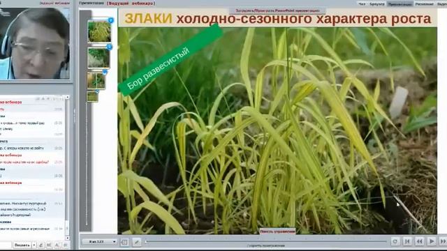 Вебинар Татьяны Желтовской "Злаки в саду", часть 1 смотреть онлайн