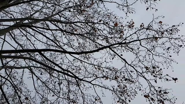 Exploring Balaton Lake in Autumn (Balatonfured & Tihany) смотреть онлайн