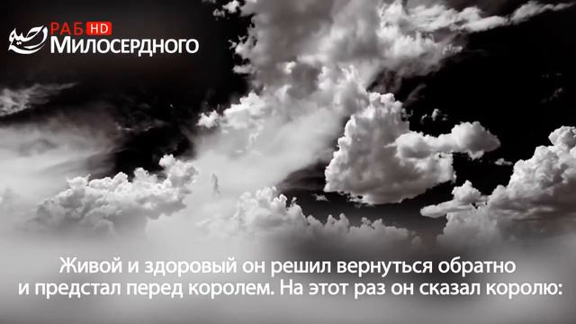 Рассказ о маленьком мальчике, сделавшему дагват Королю. смотреть онлайн