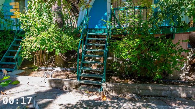 Найди кота за 45 секунд ! смотреть онлайн