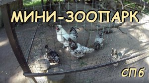 Мини-зоопарк в ЦПКиО им.Кирова в Санкт-Петербурге