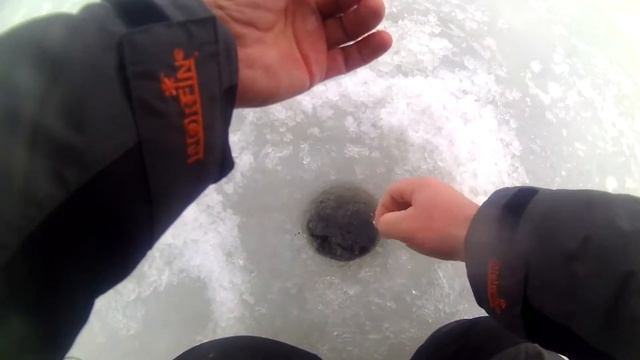 Окунь на Финском заливе смотреть онлайн