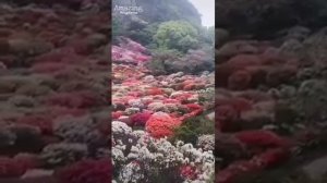 песня про Рамадан