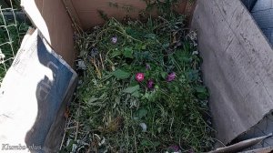 Как просто сделать компостник из сетки рабица