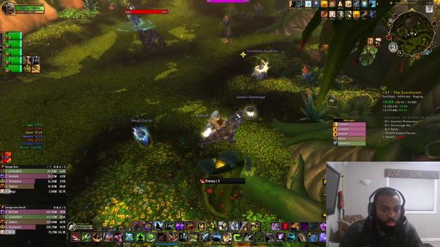 Mythic The Everbloom 27+ 382k DPS Overall #WorldofWarcraft #Dragonflight 10.2.5 WoW смотреть онлайн