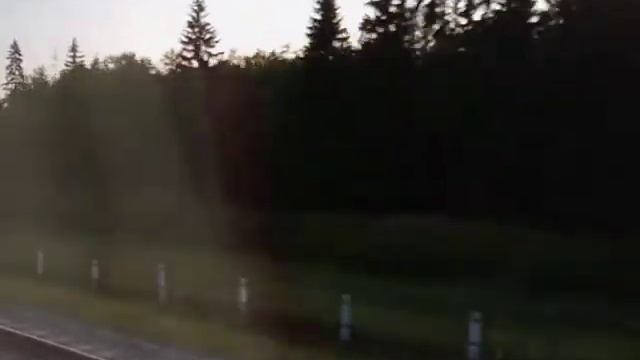 Утро на перегоне Спирово — Калашниково 27.07.2021 смотреть онлайн