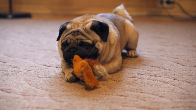 Семейный маникюр и педикюр