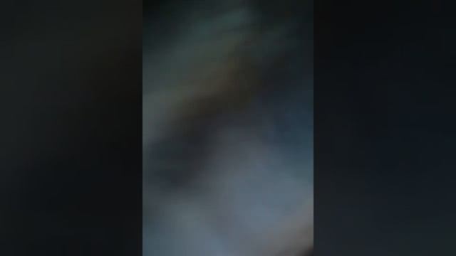 Укусила Собака! прибил друг! смотреть онлайн