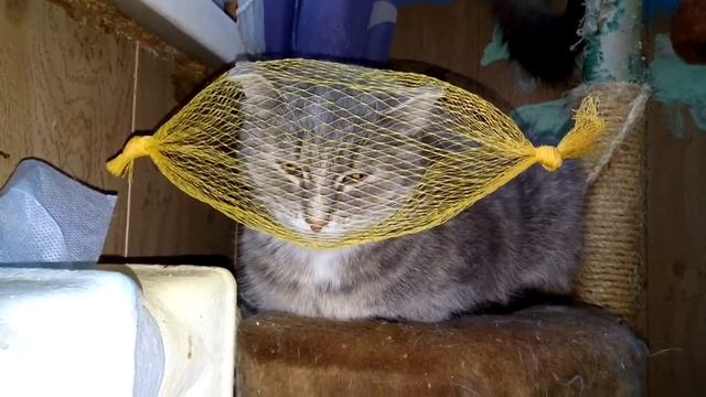 Ёкка смотреть онлайн