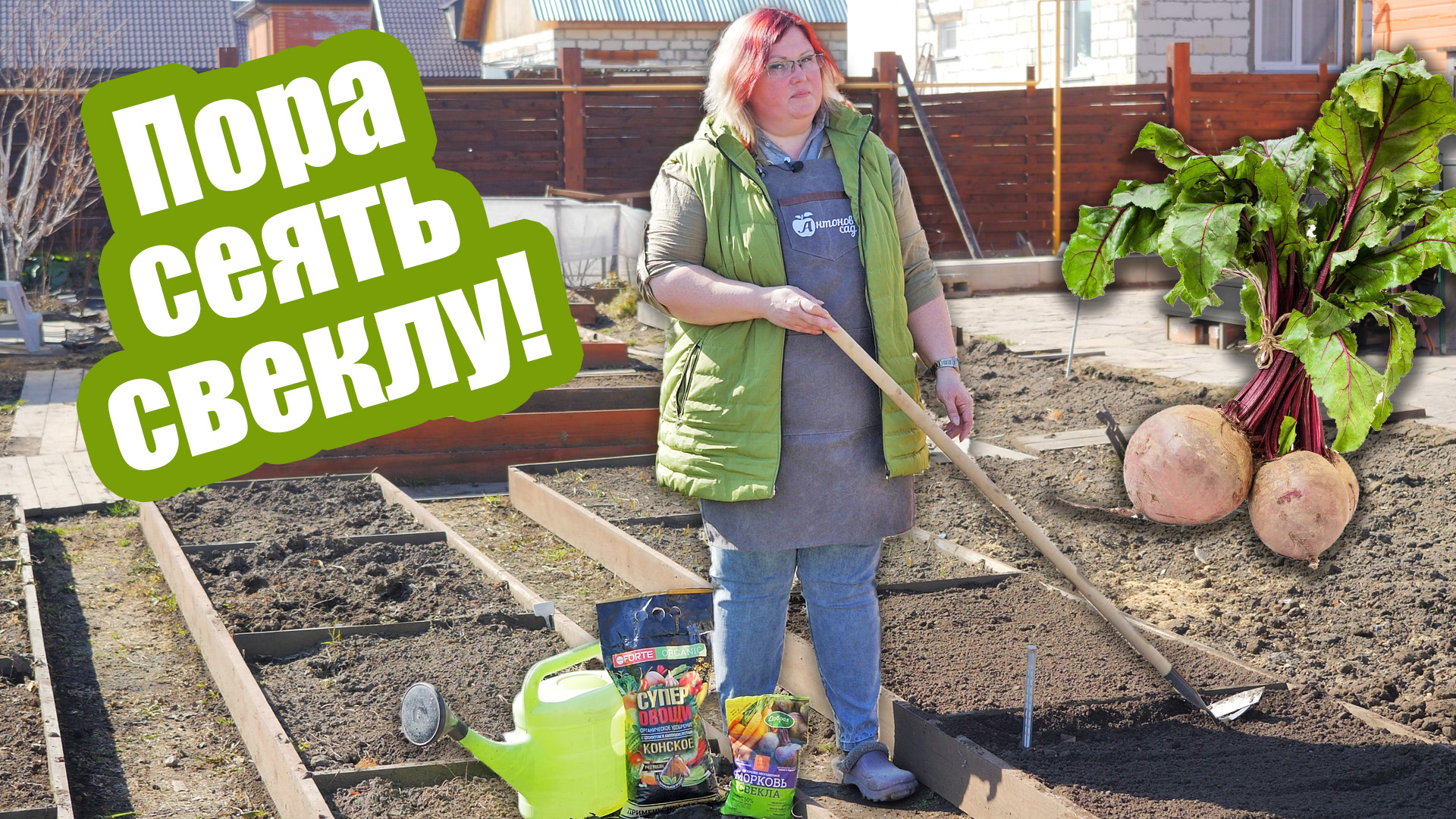 КОГДА ПОСЕЯТЬ СВЕКЛУ? Подготовьте грядку под свеклу правильно смотреть онлайн