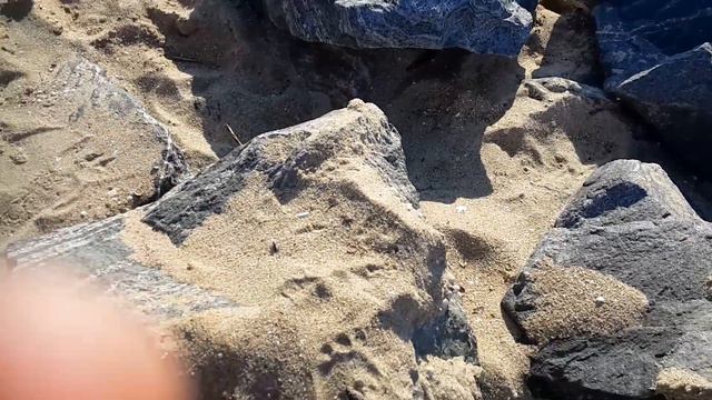 Прикольно очень можете посмотреть за лайк Будет еще 2 видео смотреть онлайн